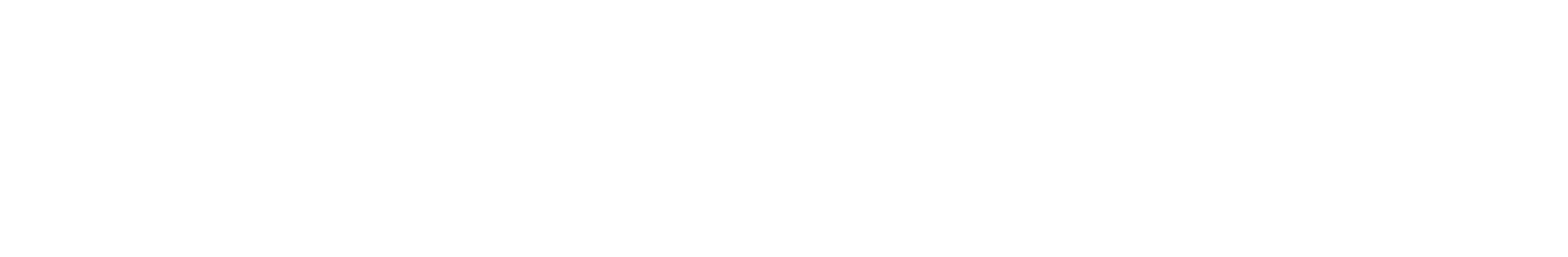 Project Eureka Logo